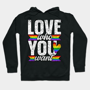 Love Who You Want  Pride Gay Proud Lgbtq Hoodie